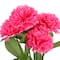 Hot Pink Carnation Bush by Ashland&#xAE;